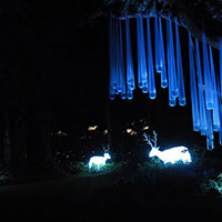 image02
